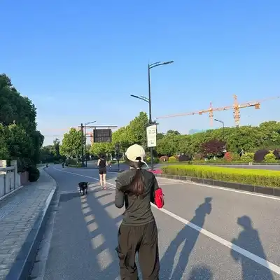 陆悦